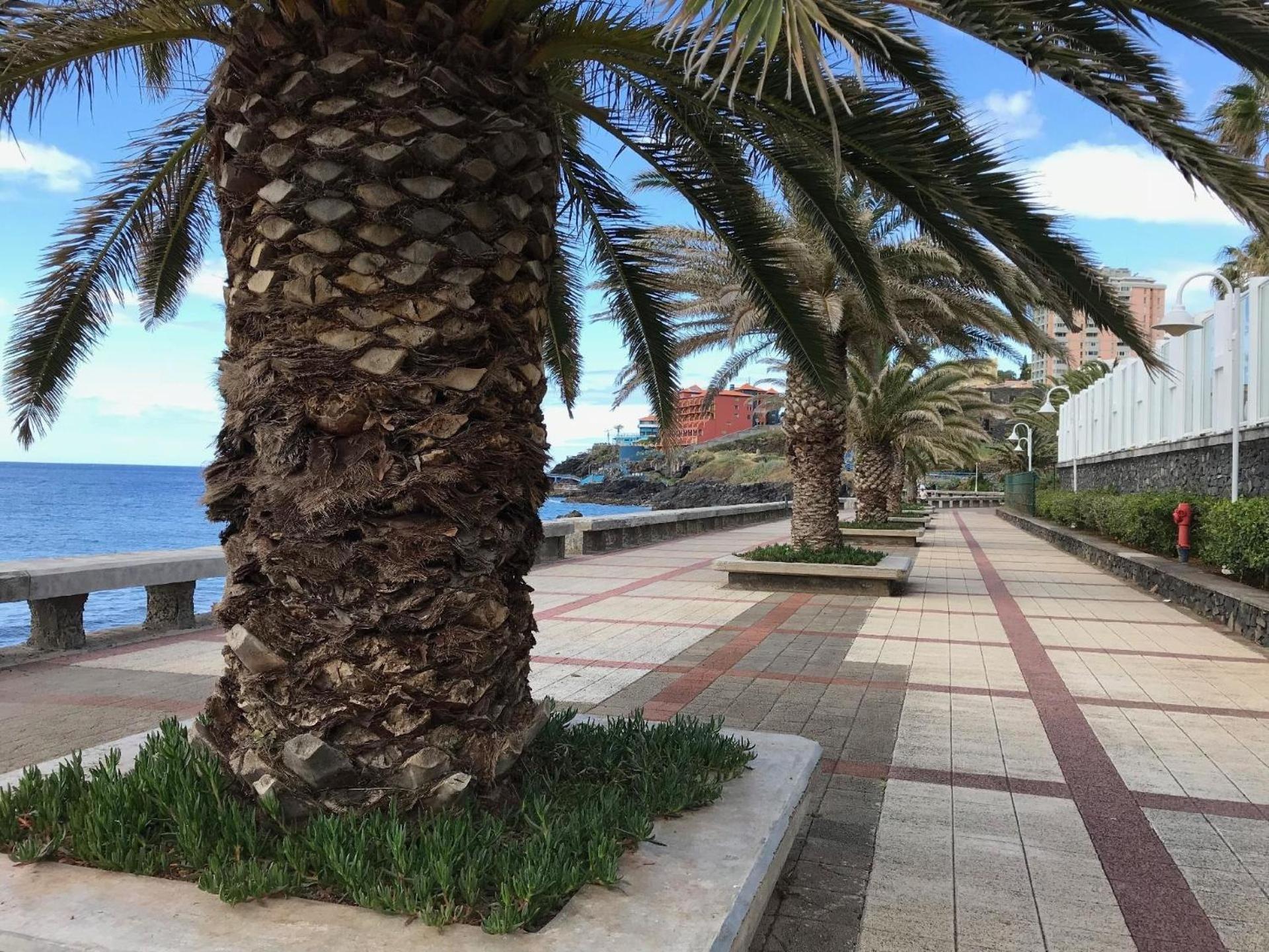 Ferienwohnung Fuer 8 Personen Ca 120 M In Canico, Madeira Suedkueste Von Madeira Levadas Exteriér fotografie